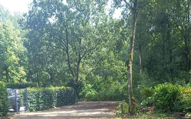 Holiday home Bospaddestoel 4-19 *